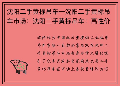沈阳二手黄标吊车—沈阳二手黄标吊车市场：沈阳二手黄标吊车：高性价比，可靠实用